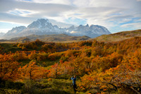 Autumn Gold / Torres del Paine Massif