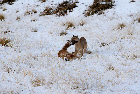 The takedown
