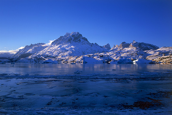 Winter wonderland